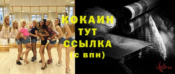 твердый Покачи
