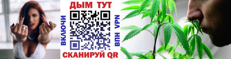 купить  цена  Томмот  Конопля MAZAR 
